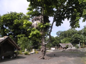 Kaimelis Tanna saloje