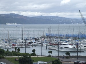 wellington_2